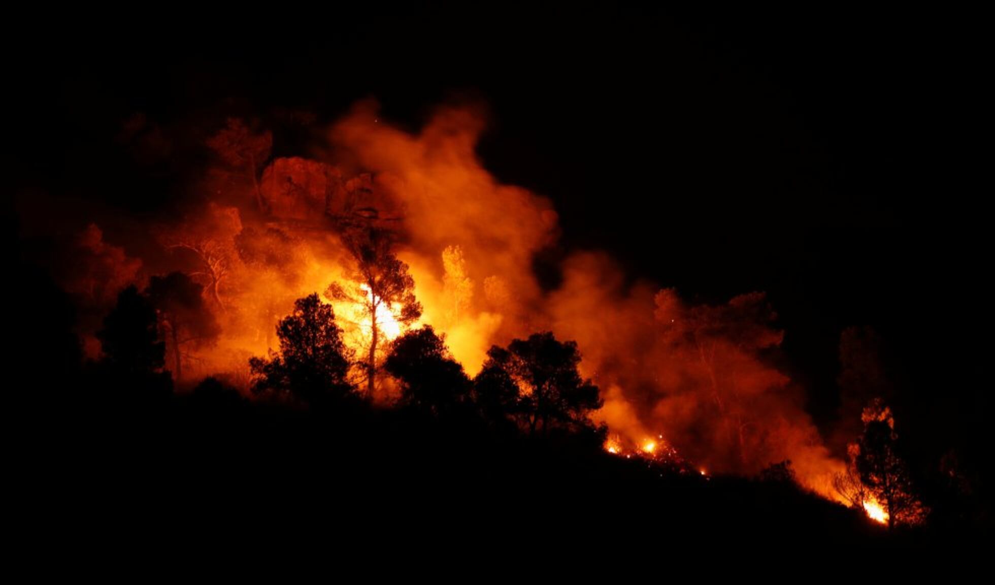 Imatge d'un incendi forestal